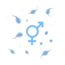 3D medical illustration representing Low Sperm Count