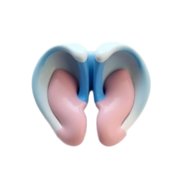 3D medical illustration representing Thyroid Problems